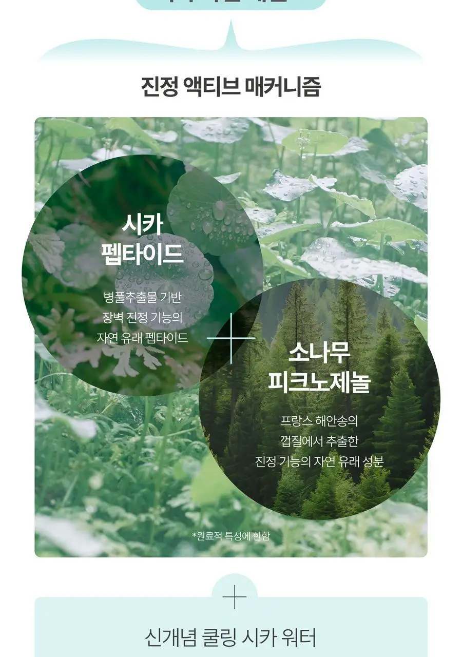 [리필기획] AGE20S 선 에센스 팩트 무기자차 카밍 기획 (본품+리필) 상세페이지 33